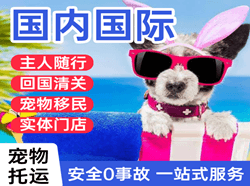 敦煌莫高机场物流国际宠物托运 【国